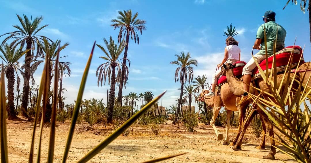 helenaferrermay   Fent el guiri