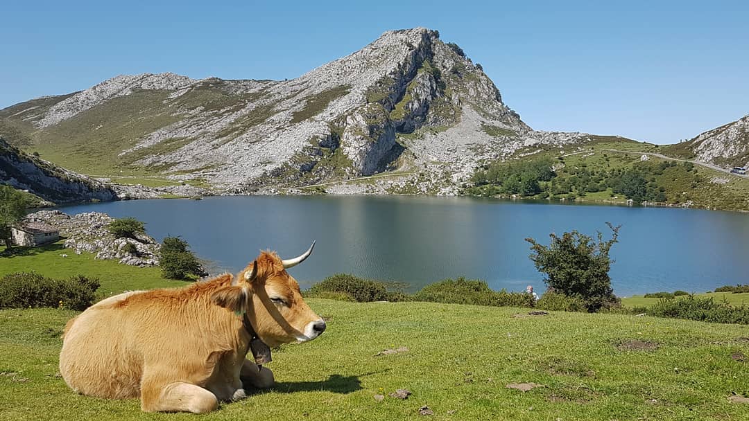 i.s.a.b.e.l.f    De vacances