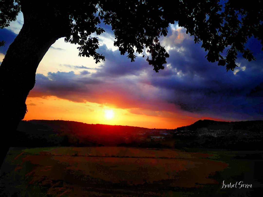 iserra 11    Tocarte con el alma, besarte con las manos.