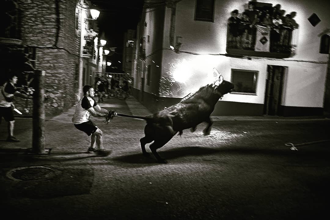 jaumecharles   bou embolats