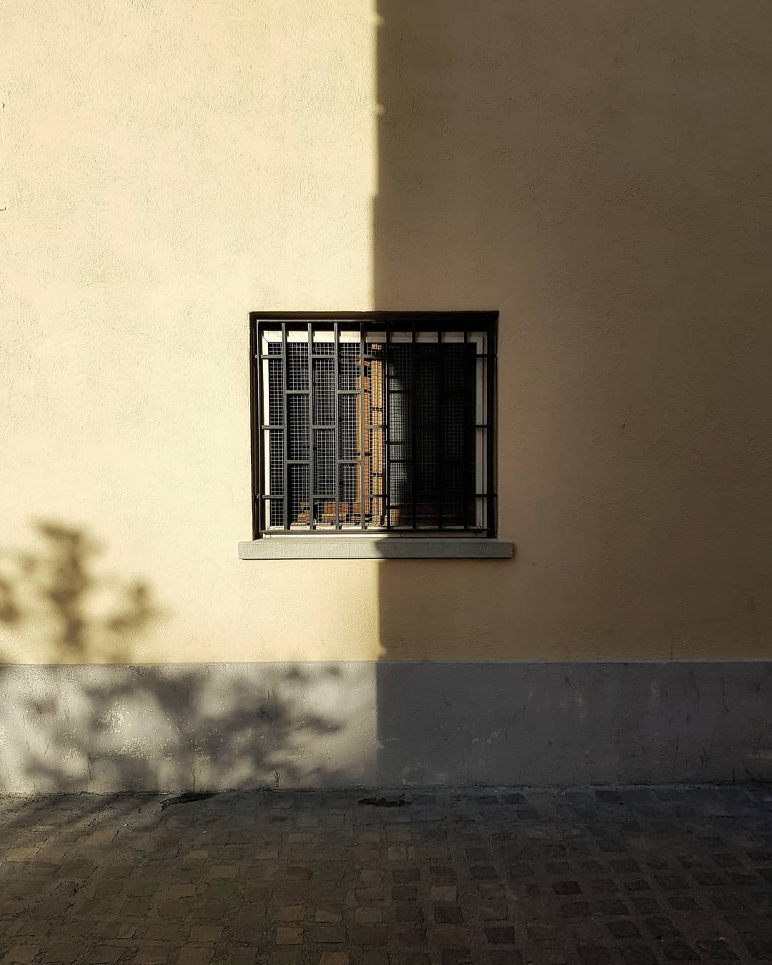 jcontrerasra    Half and half. Sant Cugat.