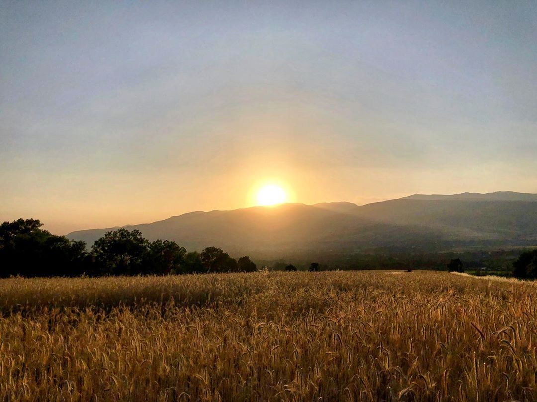 julliett.co   Capvespre ceretà