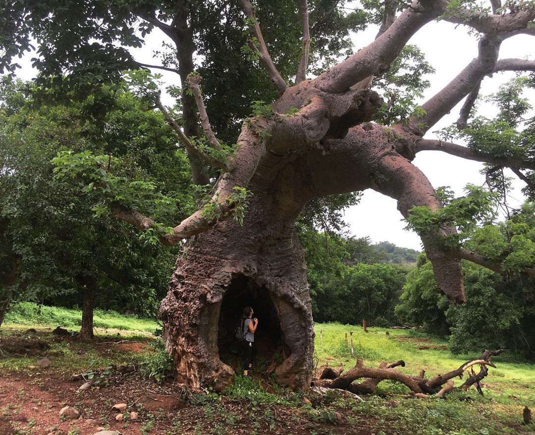 laiagescu   Si dicen dormido es mejor soñando.
