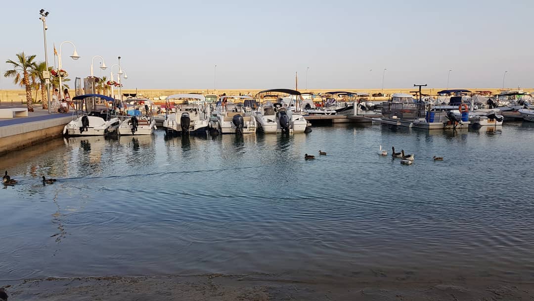 lilianags1980    La colla de L' Ampolla 