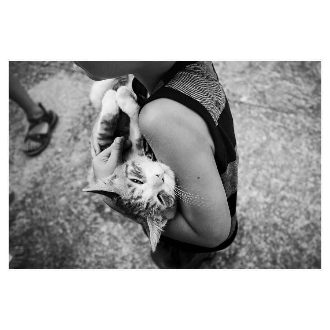 littlenunu9    crema el pulmó de la terra i sembla que s'haurà d'apagar sol... crema una catedral i en temps rècord ja recauden milions per a tornar la a refe