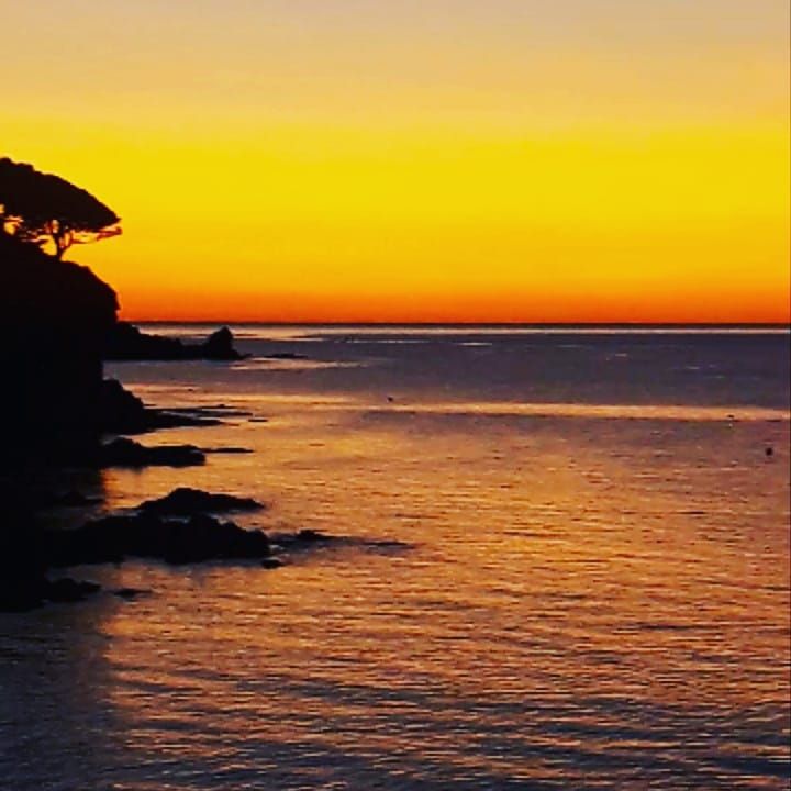 martika ventu    No sabían que era imposible, así que lo hicieron. La Trenza