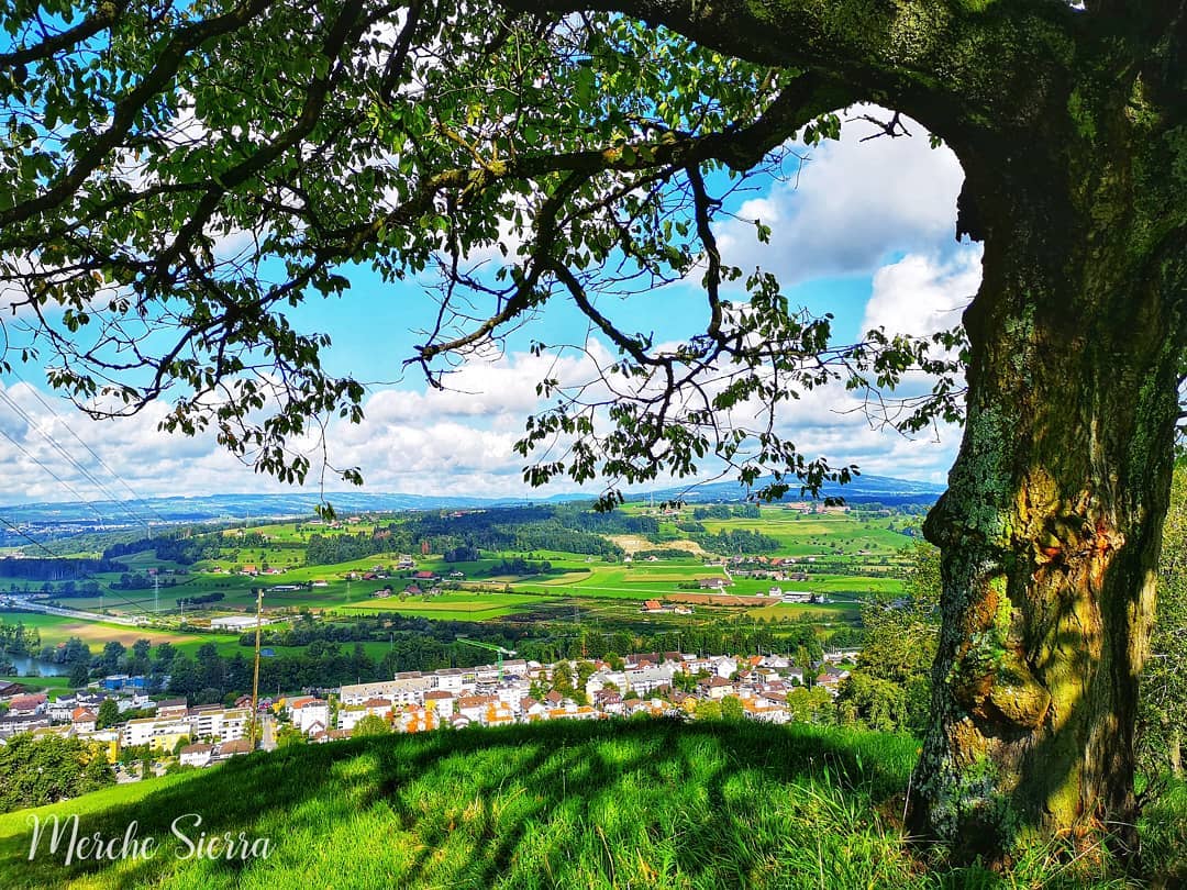 merche sierra    No esperes el momento perfecto, toma el momento y hazlo perfecto.