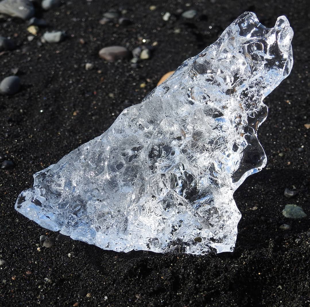 msalvadog   La joia de la natura