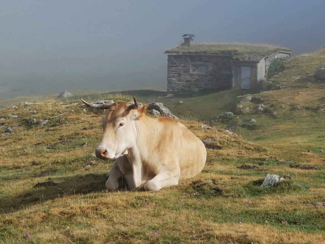 nuriaduba    Circ d'Estaubé