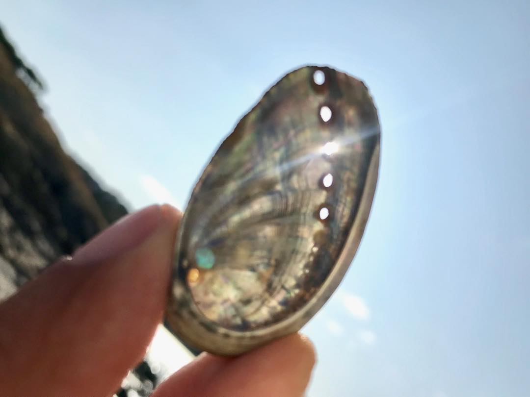 oski0013    Tresordavui 