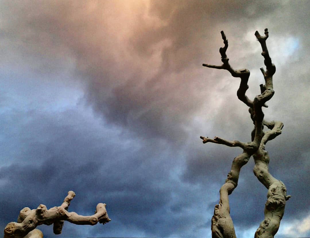 peynagual.art   arrels ingràvidas Priorat