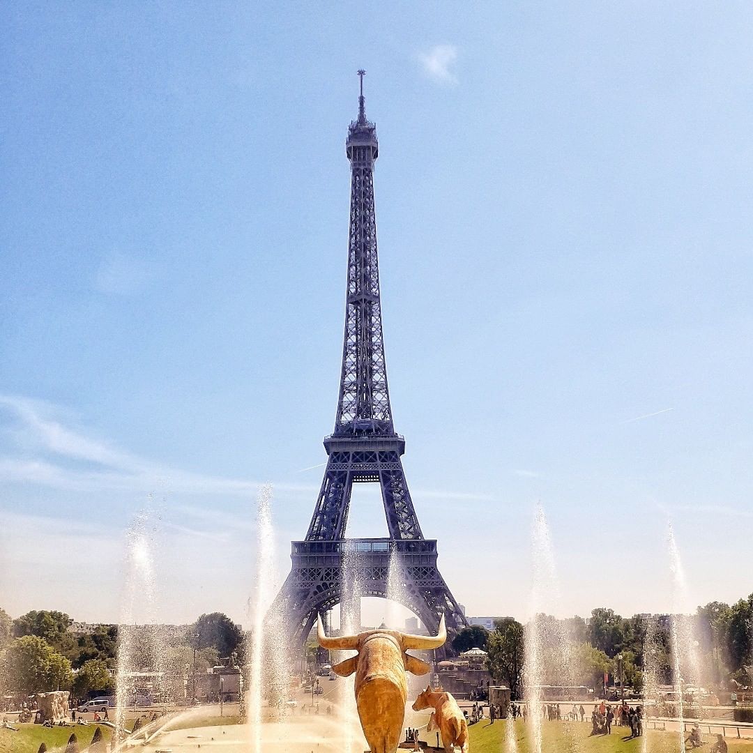 pilareye    Des de Trocadero, Torre Eiffel envestida per un bou #Paris #France