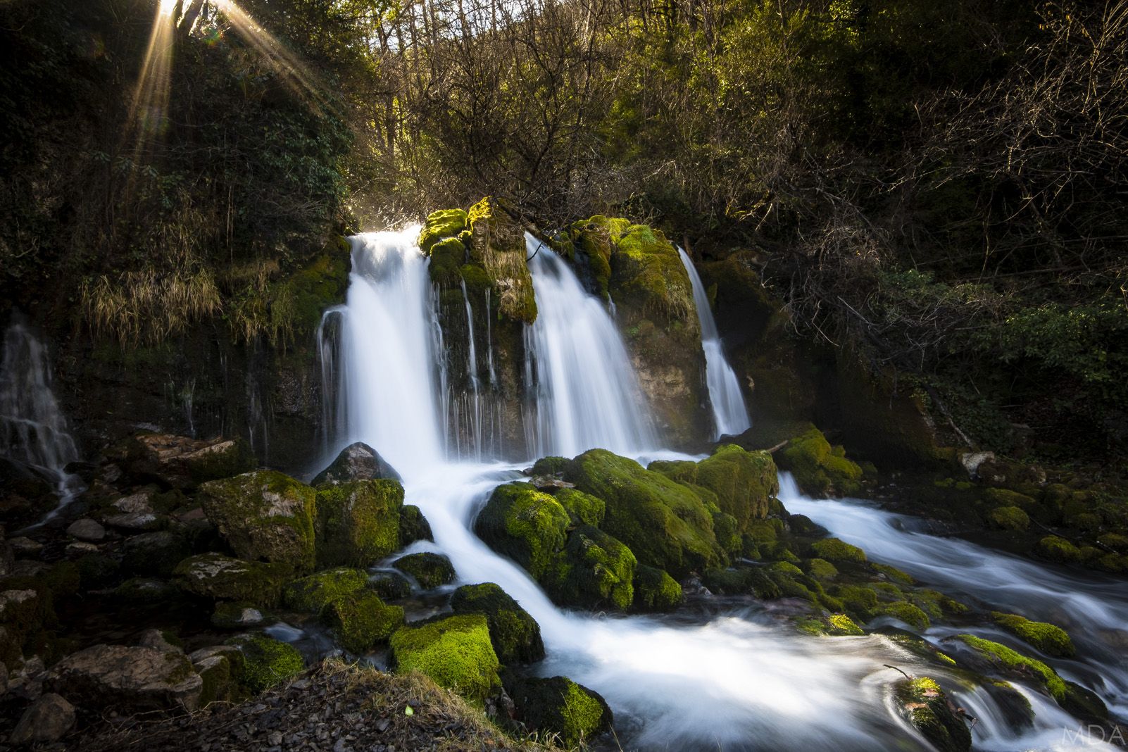 Gerardo Mosqueda Quezada   Brotando   El Cadí