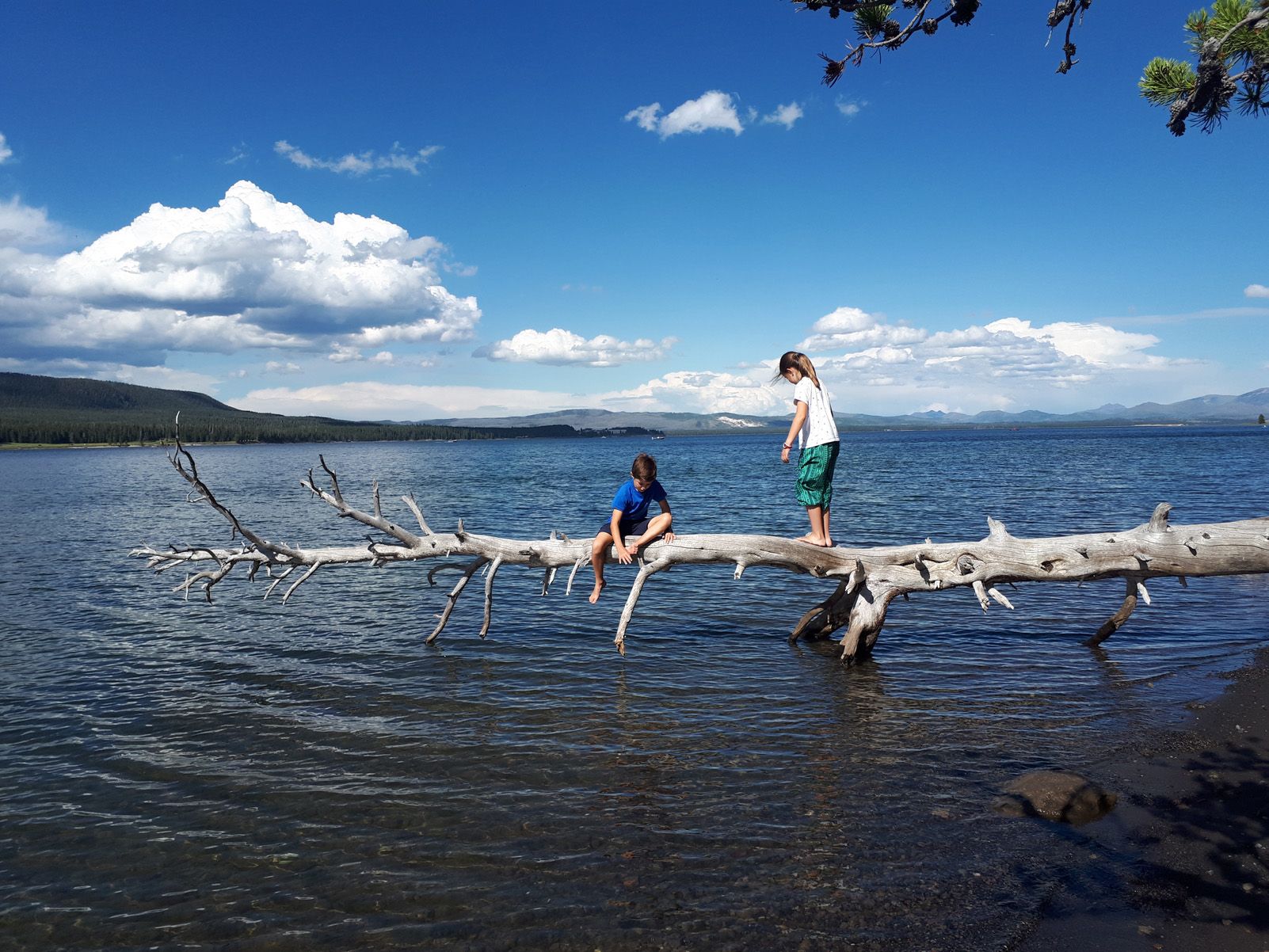 Iris Hochmair   Una tarde relajada   Yellowstone National Parc, EEUU