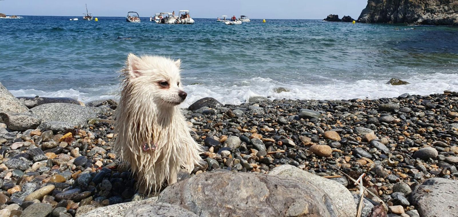 Jaume Rifà Mas   Yuki on the Beach   Tamariu