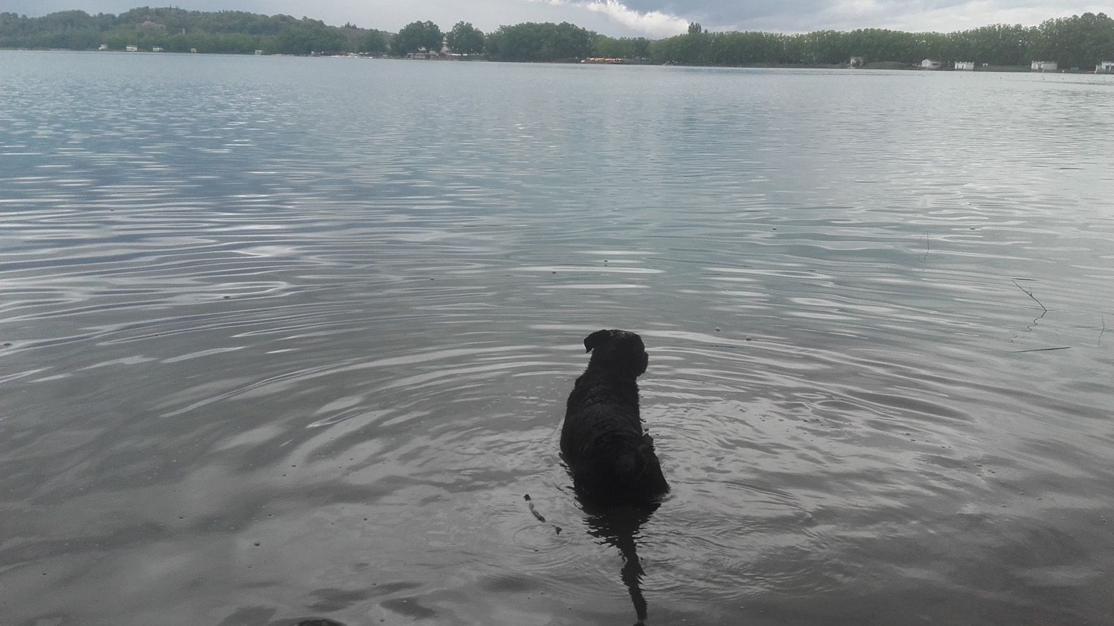 Joan Rosell Gratacos Refrescada serena Banyoles