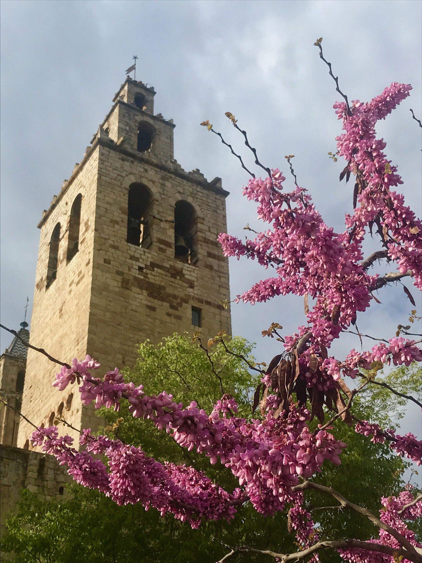 JORDI VIVES  FISAS   Campanar   Varis llocs