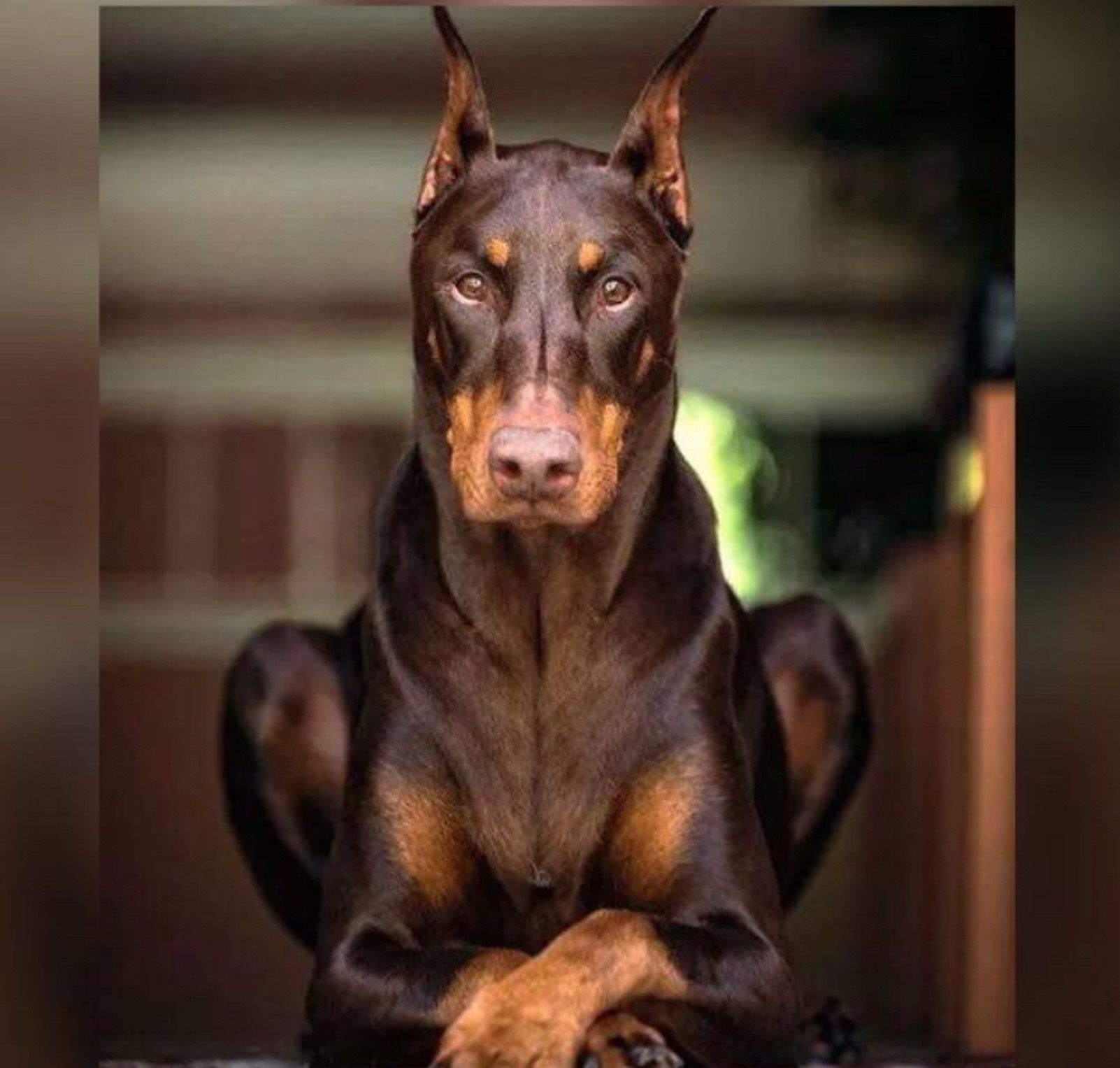 JOSEFA LUQUE OLIVARES   Guardián   En casa de un familiar