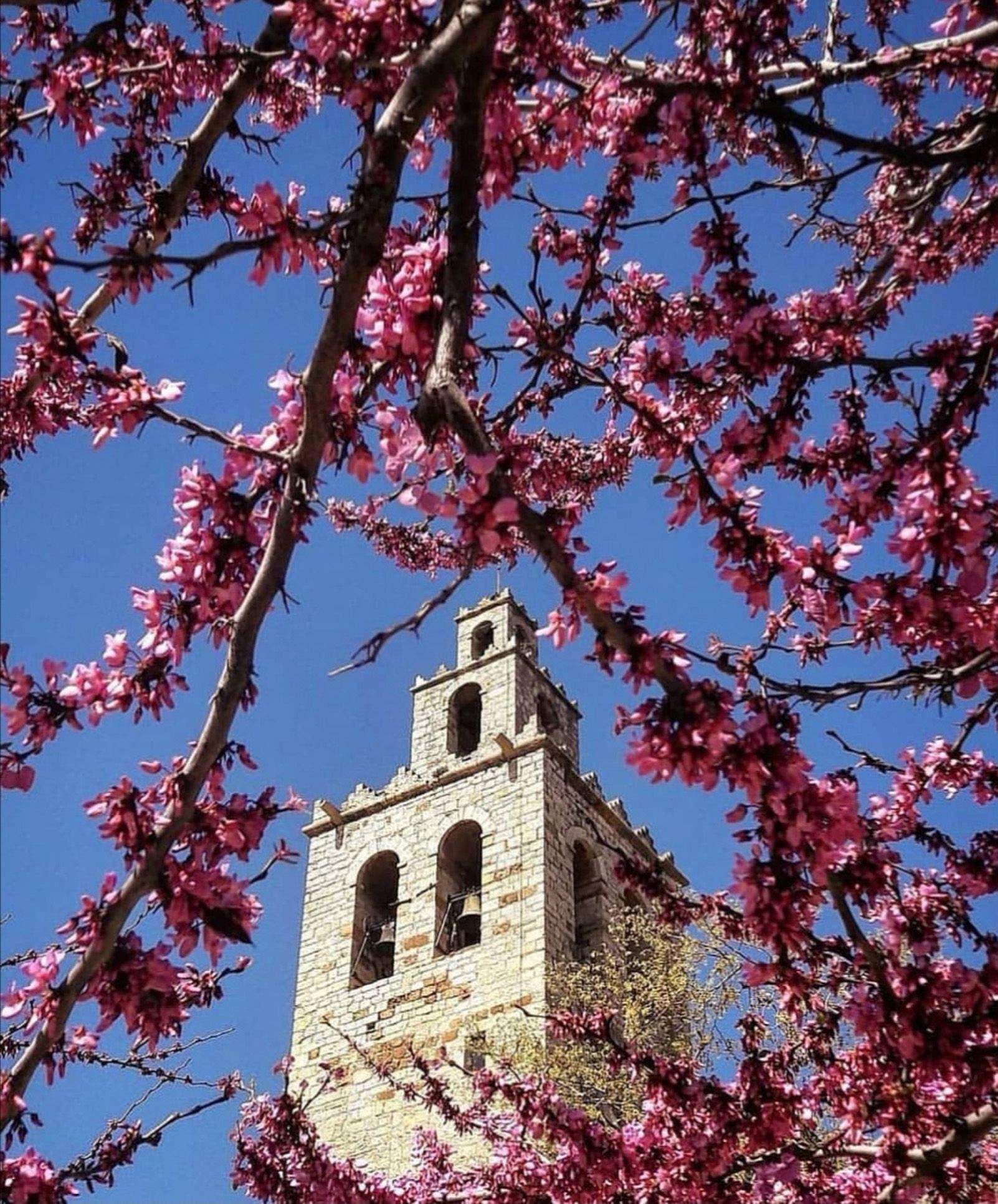 Laura Cantín Díez   Bloom   Sant Cugat