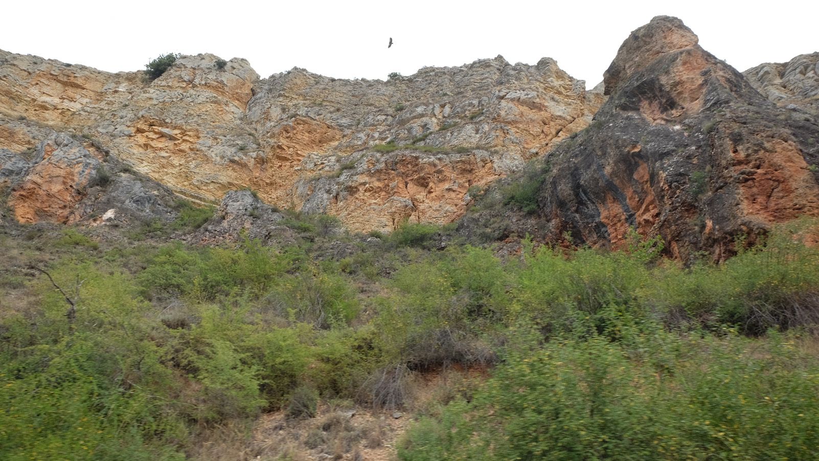 Liliana Gómez Simarro   Vida en la España vaciada   Caracena (Soria)