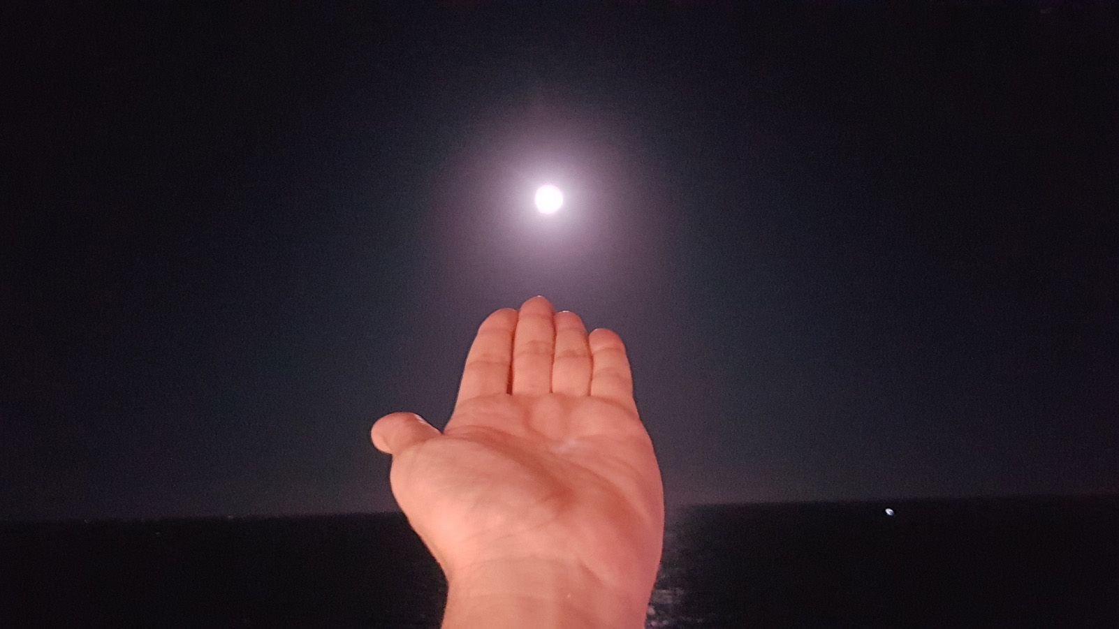 Lluís Uguet   La ma plena   La Cala L'Ametlla de Mat