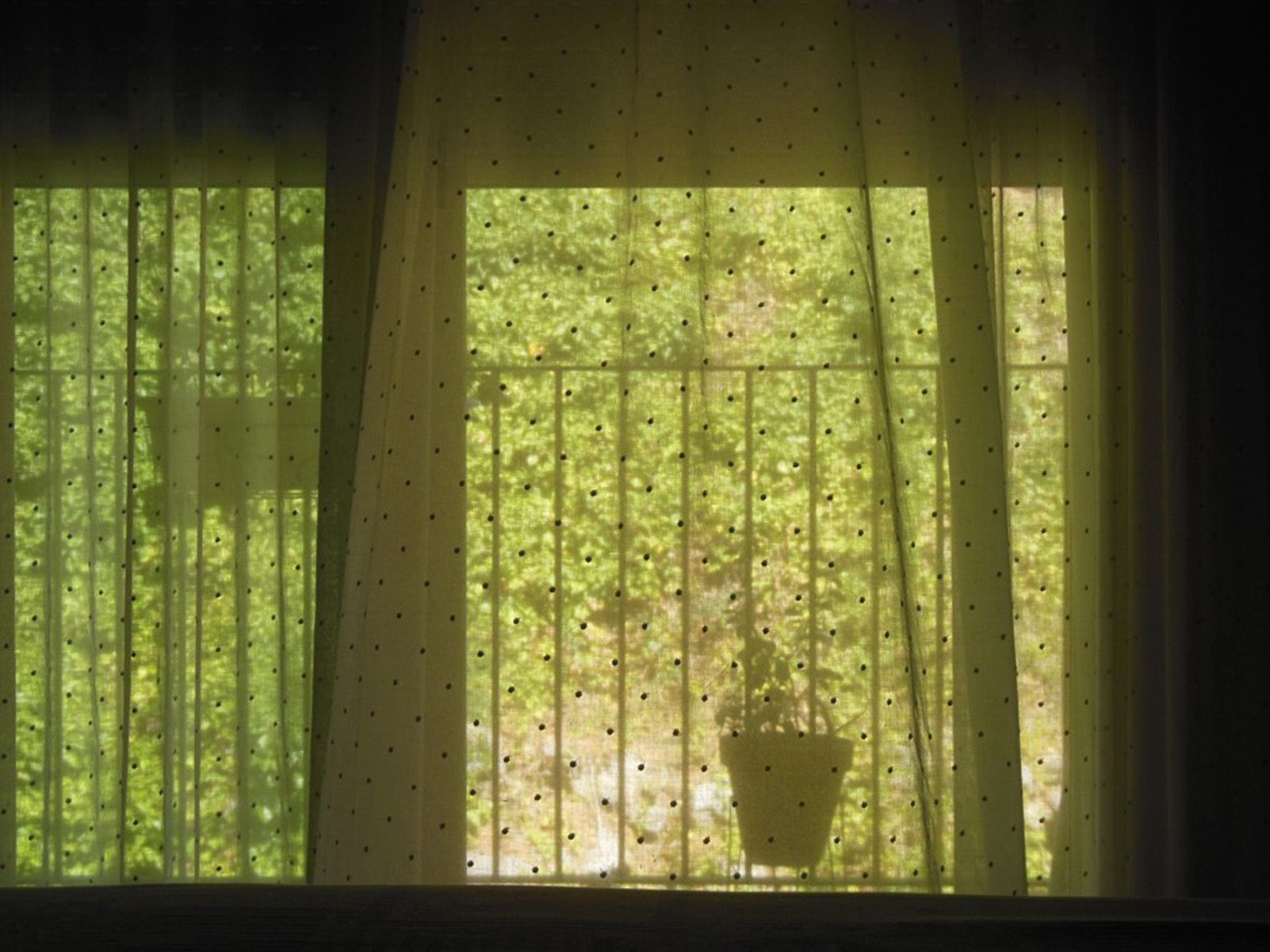 Lluïsa Gutiérrez Castro   Fent la migdiada   Molins de Rei