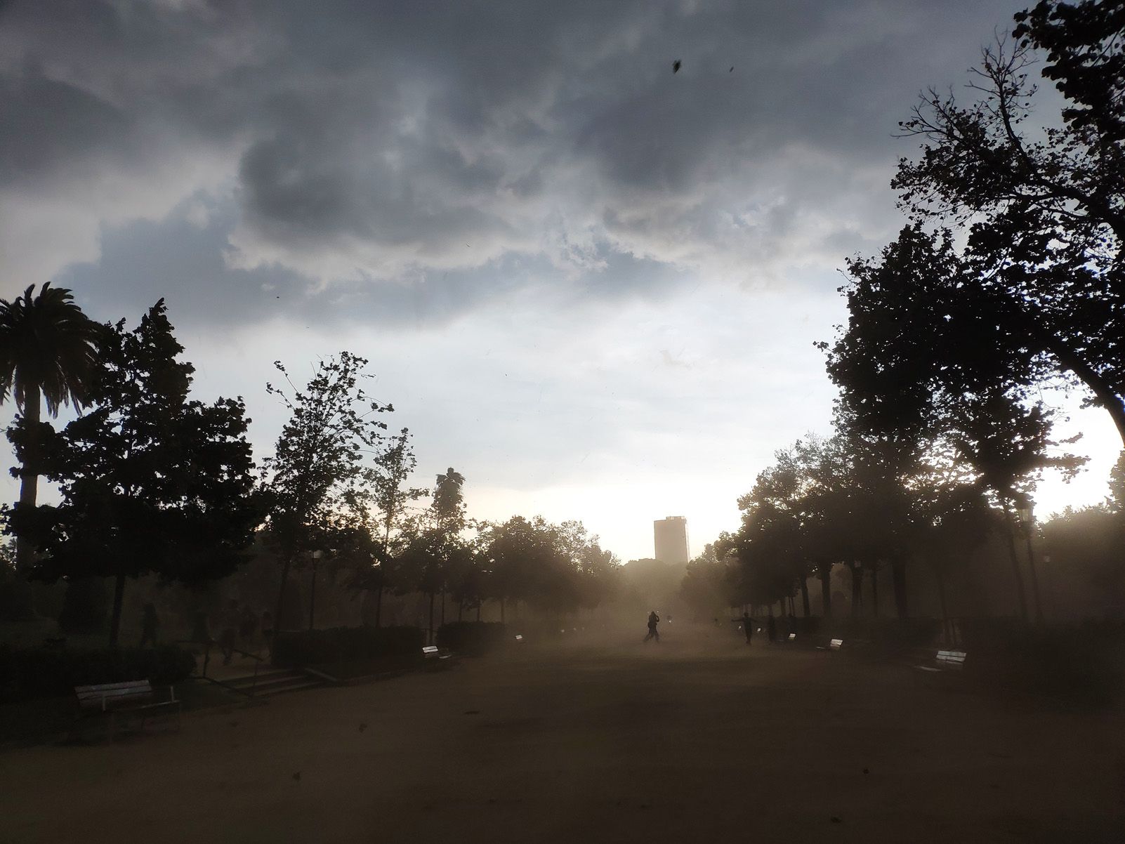 Maite López Luque   El vent que precedeix la tempesta dibuixa un paisatge oníric   Parc de la Ciutadella