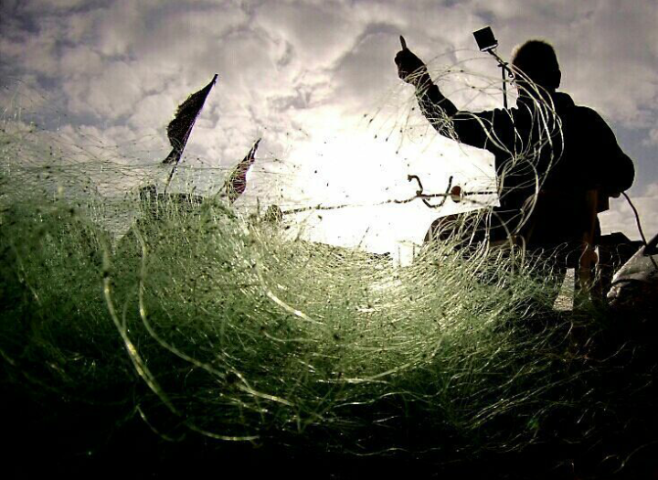 mariella domingo   Acaban la jornada   L' Ametlla de Mar