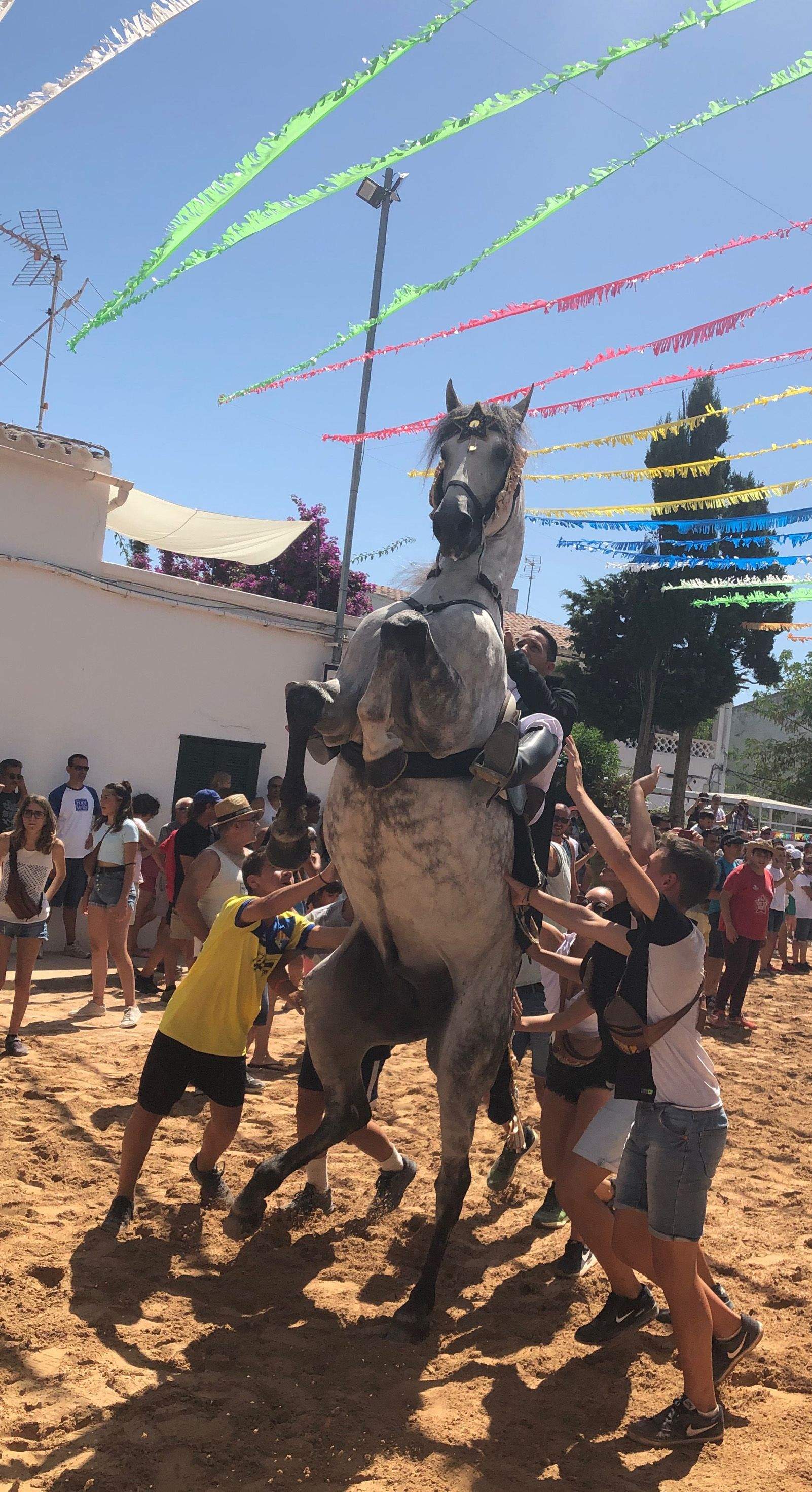 MARINA RIUS OLIVA   JALEO   Llucmaçanes. Menorca