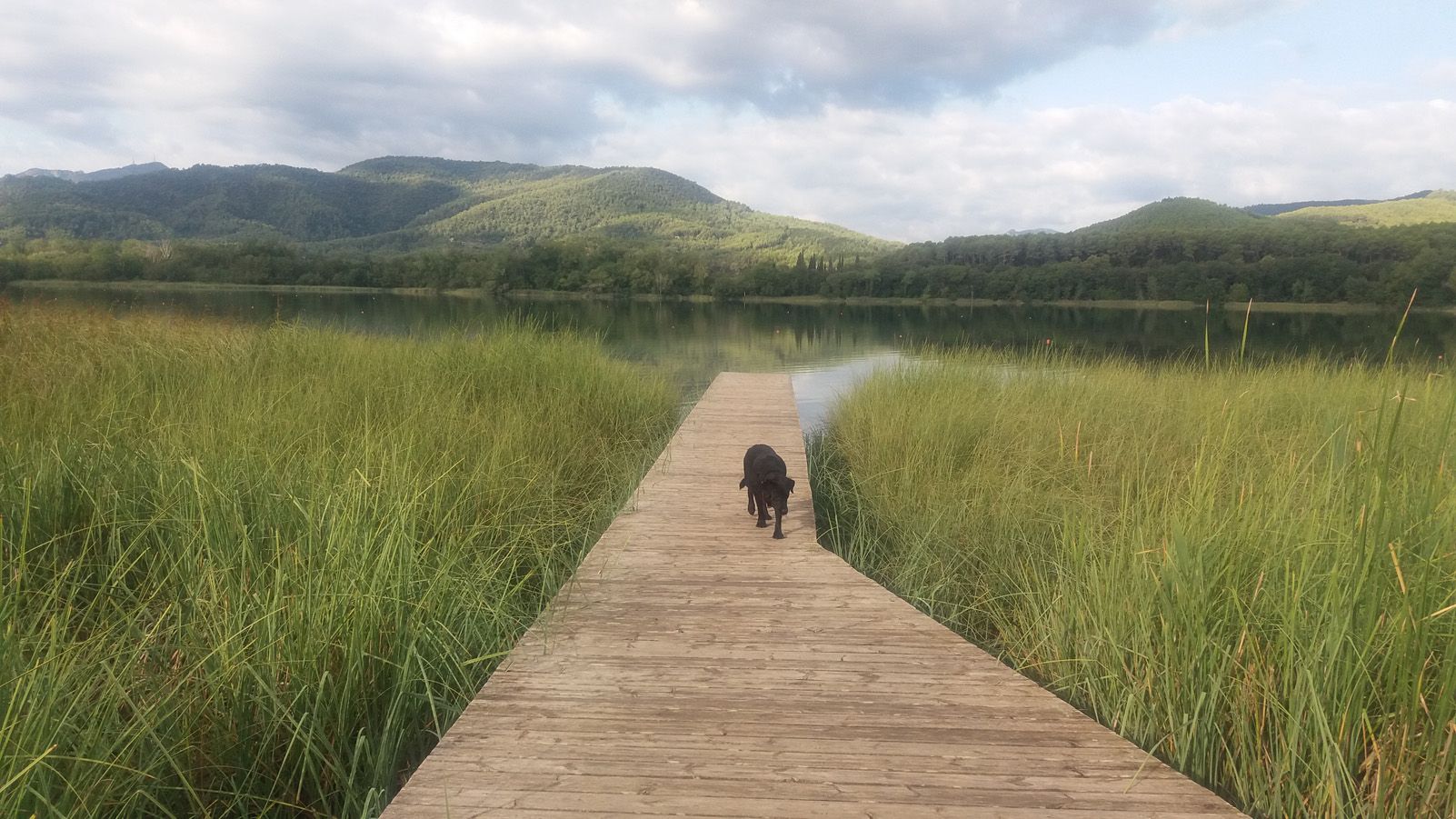 Mireia Dachs Marginet   Natura   Banyoles, Girona