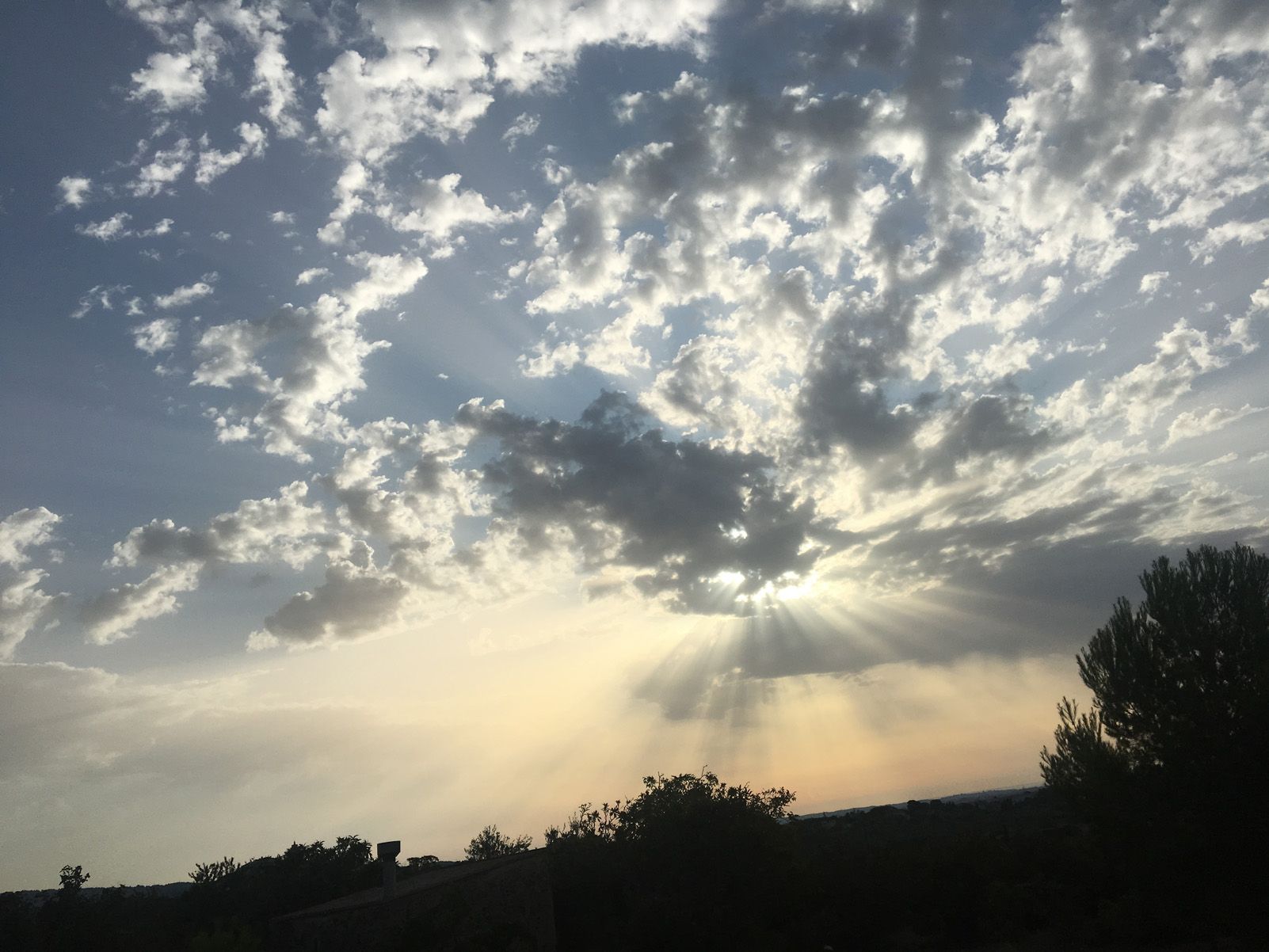 Neus Sacristan Valencia   Cel hipnòtic   Les Borges del Camp