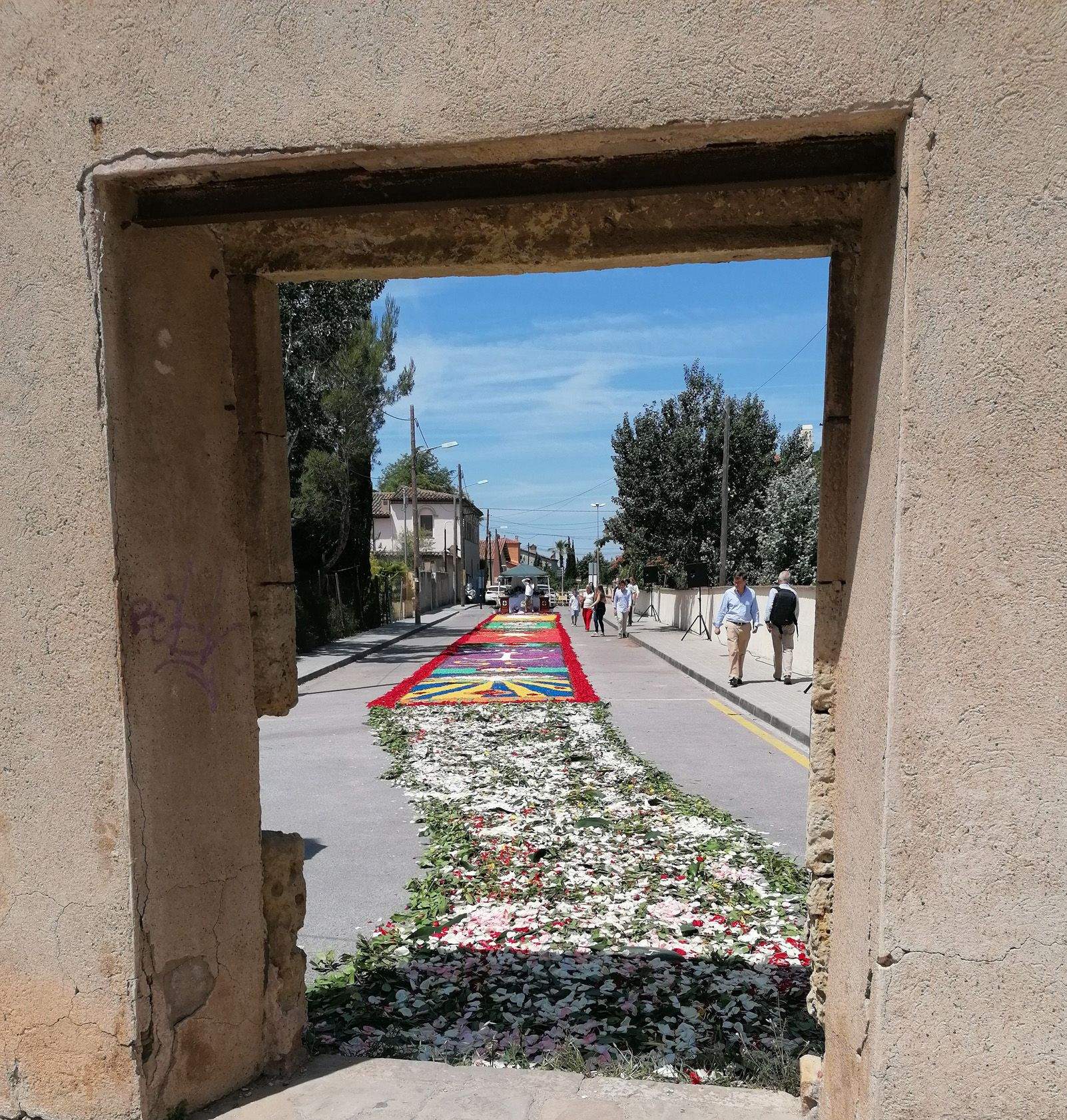 Paola Morató de Rojas   Alfombra floral   Roses
