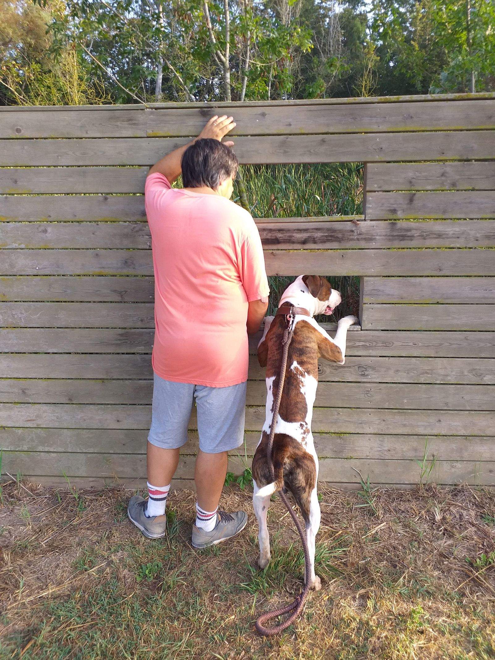 Patricia Queralt Moretti   Observando los patos   Les Basses d'en Coll   Pals