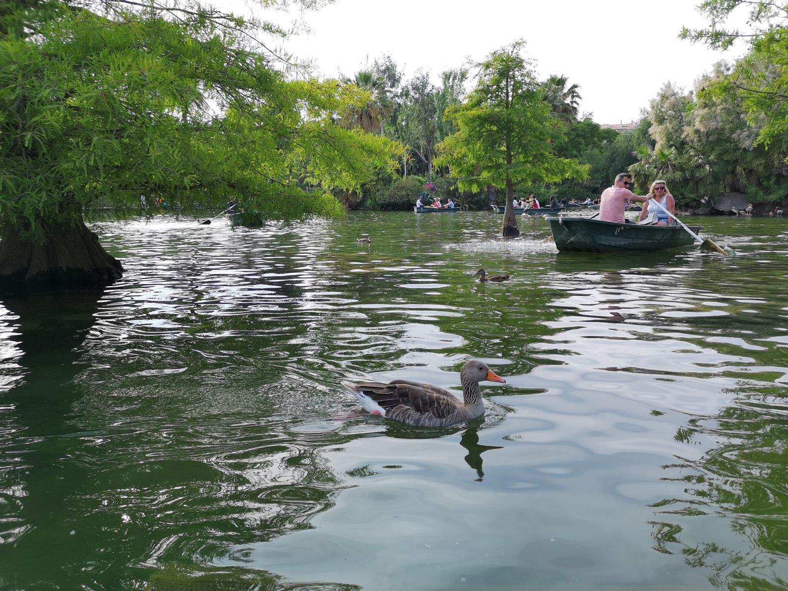 Paul Tandalla   Pato   Barcelona