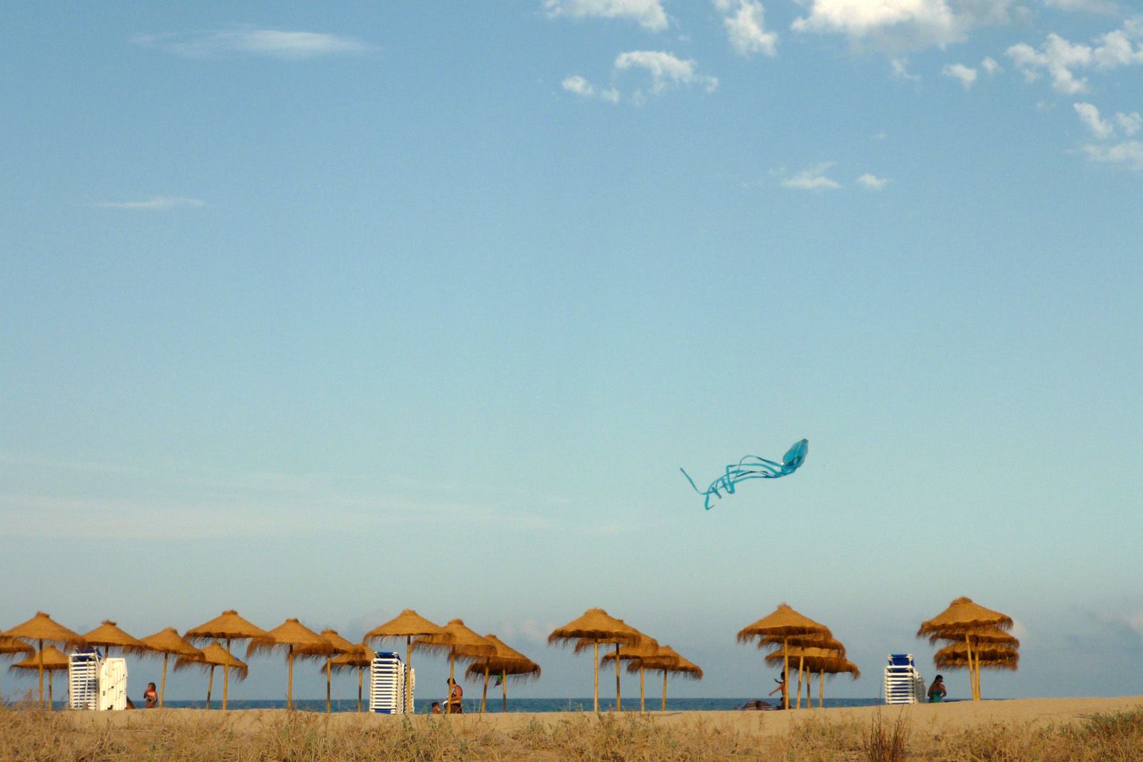 Rosa Ferreres Plans   Voleiant   Peñíscola