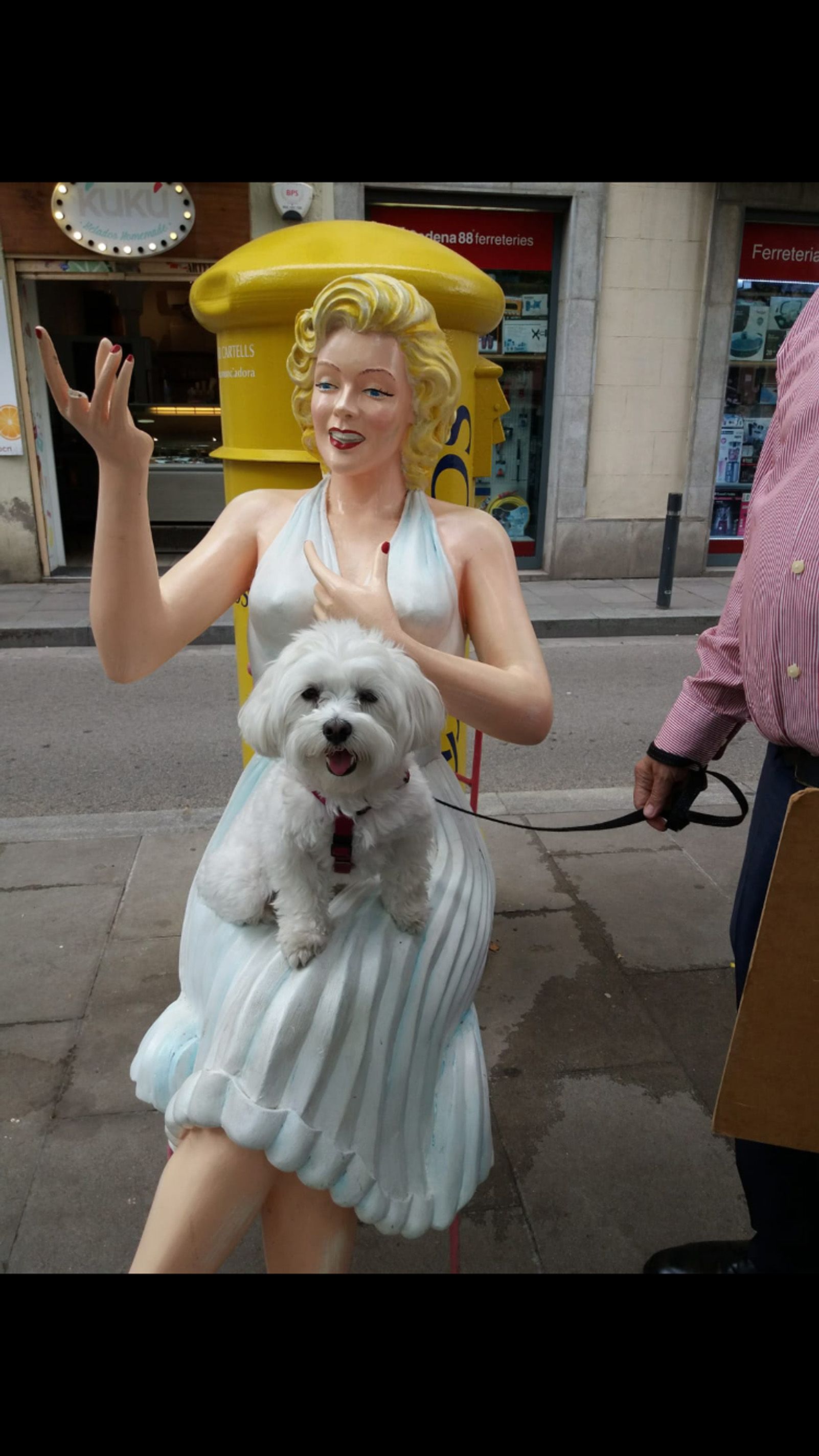 Roser Llavaneras Bello   Ningu com jo, Sally, sentada munt de la Merlin Monrroe   Barceloneta