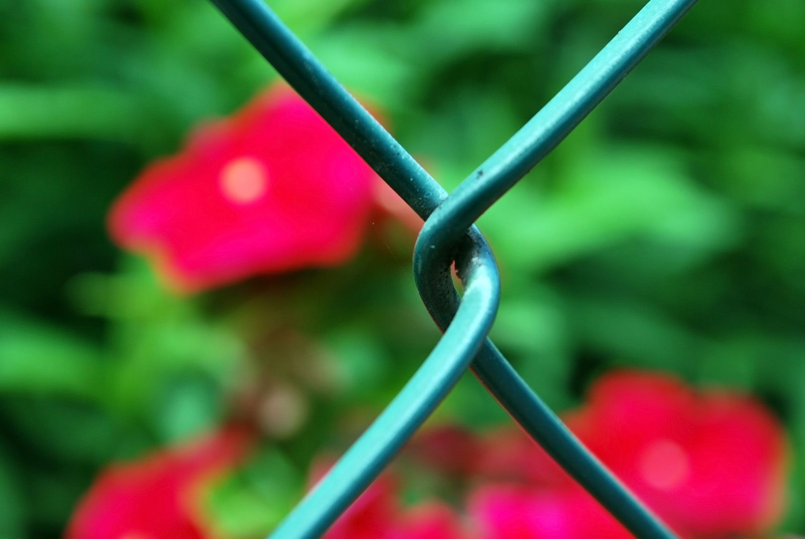 Sergi Cabrera Melo   we can't change the things we can't control   Val d'Aran