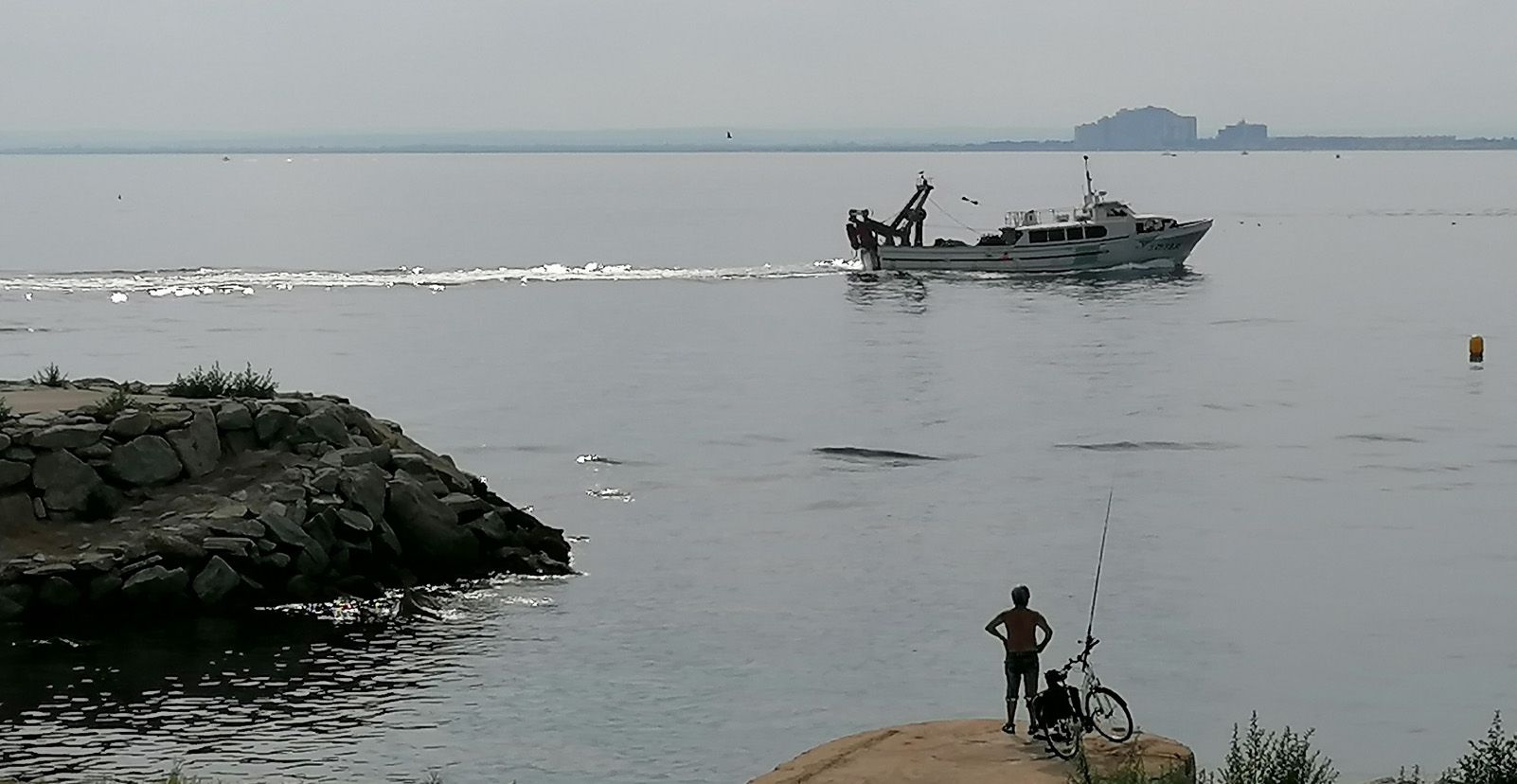 Tito Vilar Salarich   Seguro que va, lleno...   Roses