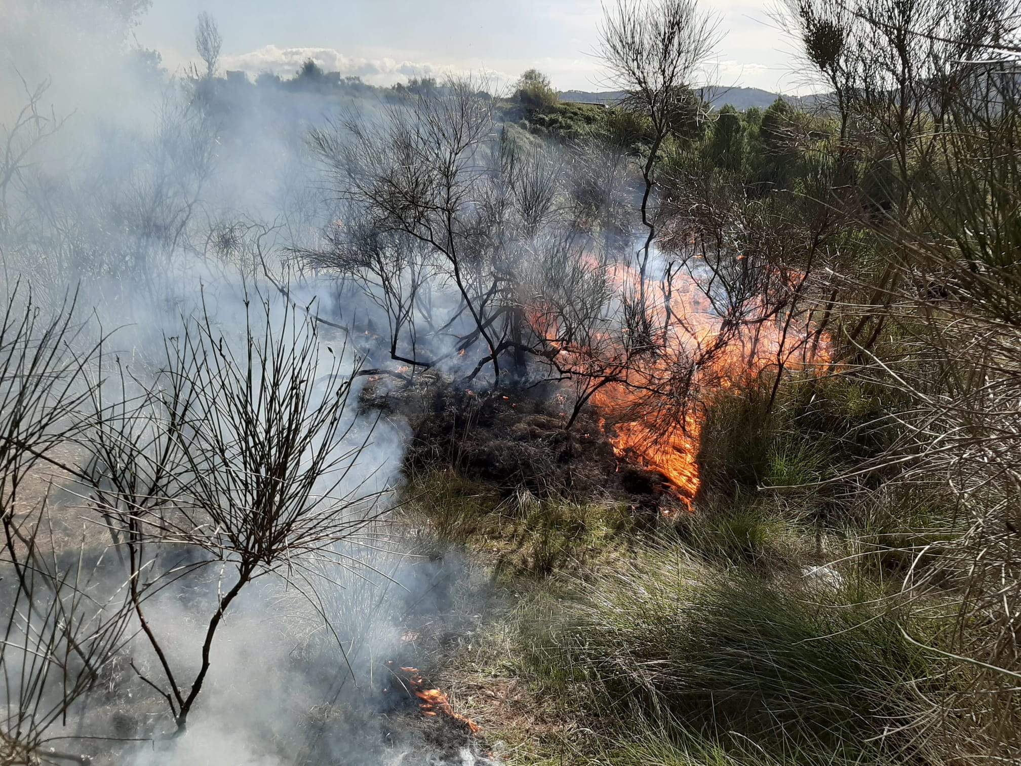 Incendi en un descampat de Sant Cugat. FOTO: Manel Cervantes