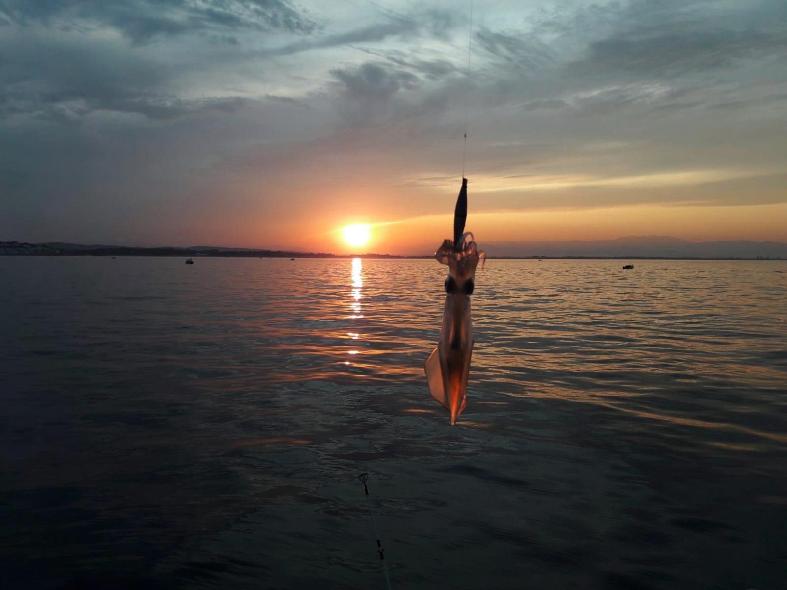 CARME FONDEVILA PRAT   CAPVESPRE I CALAMAR   L'ESCALA   EMPÚRIES