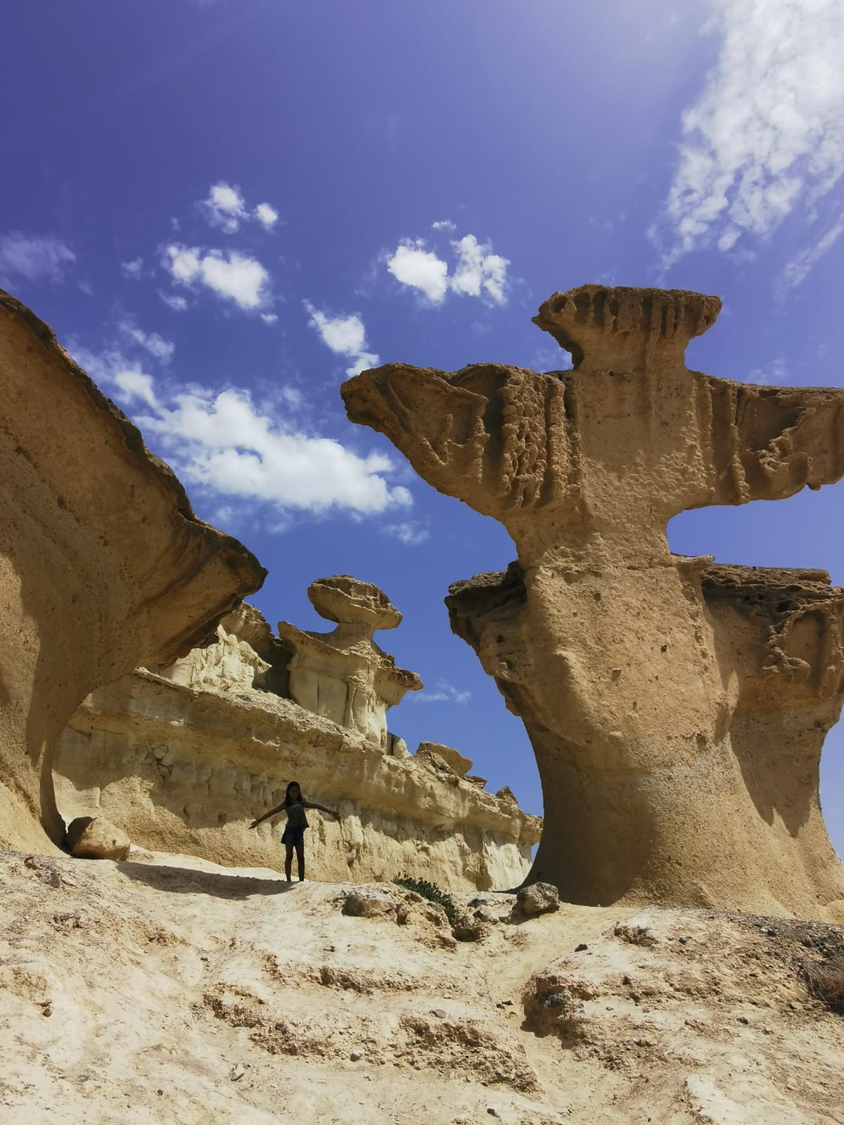 César Rodao Legaz   erosió   mazarron