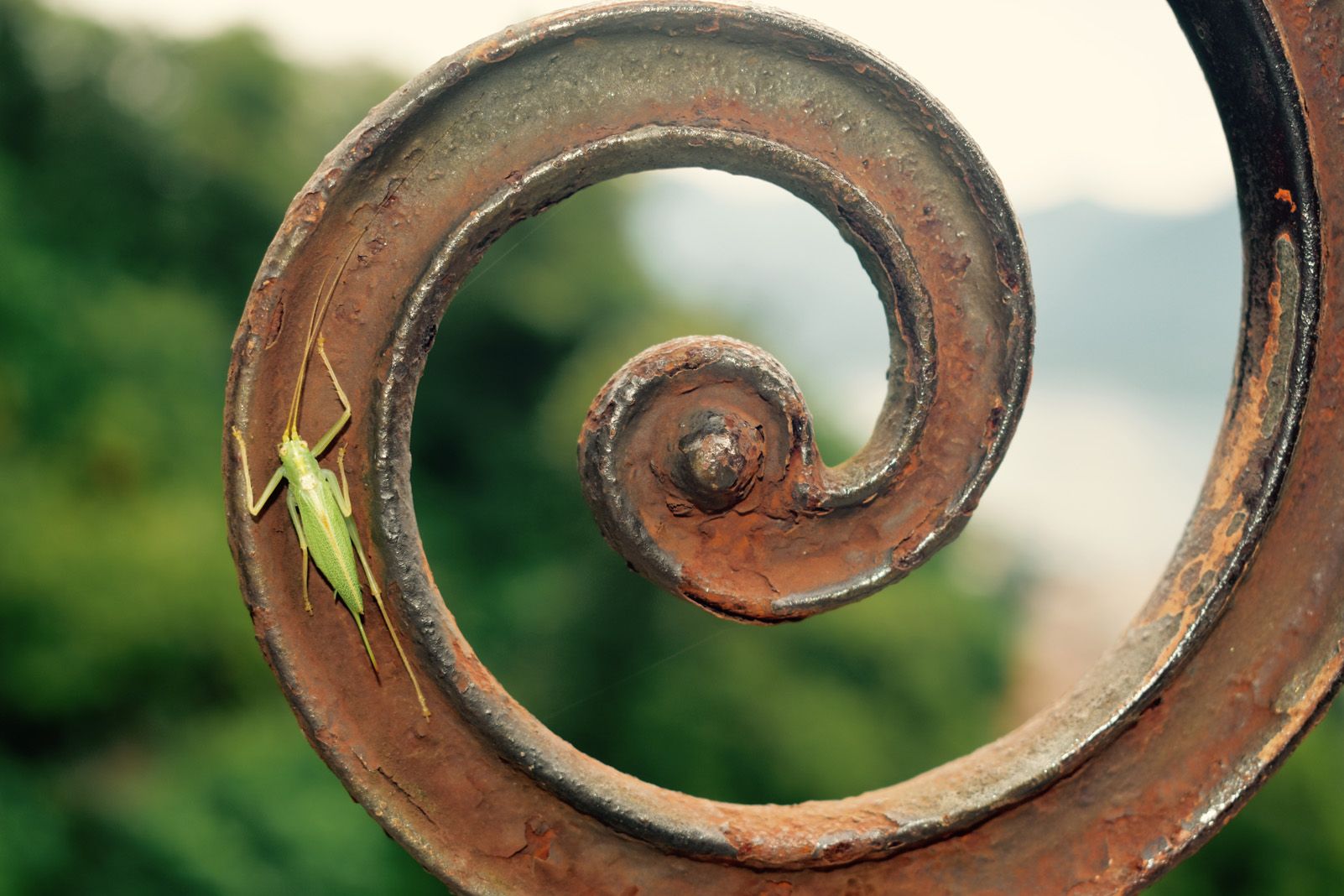 Cristina Eichenberger   Haciendo camino   Ticino, Suiza