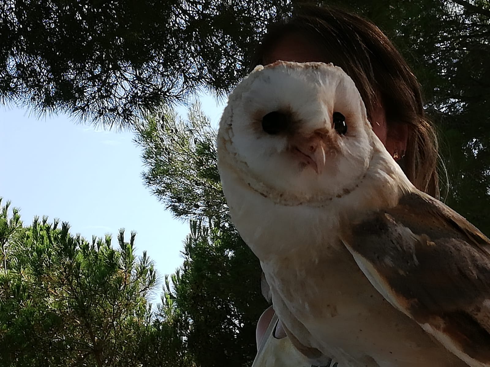 Cristina García Verdugo   Selfie   Cim d'Àguiles. Sant Feliu de Codines.