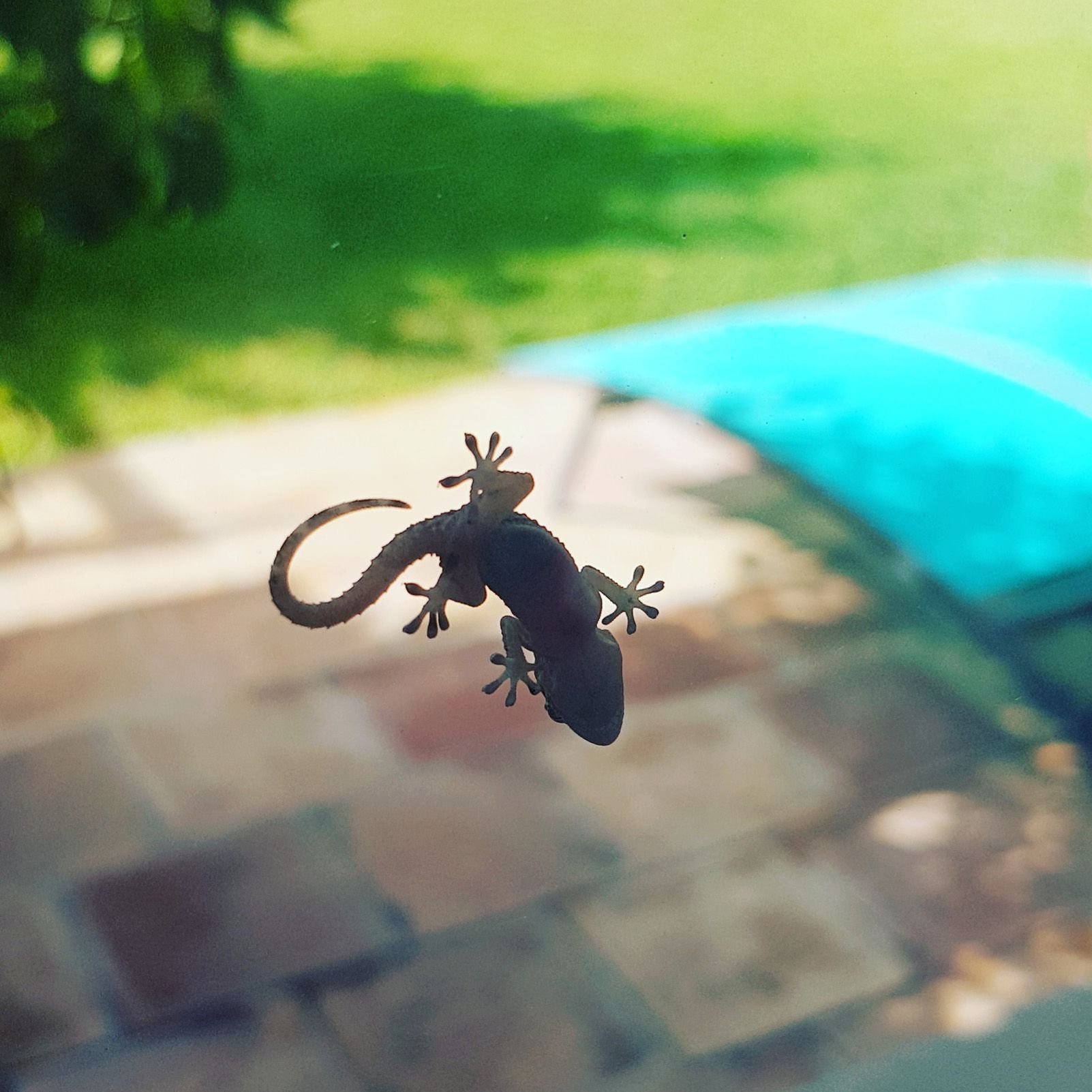 Cristina Gómez Esquius   Tres centímetres   Mallorca