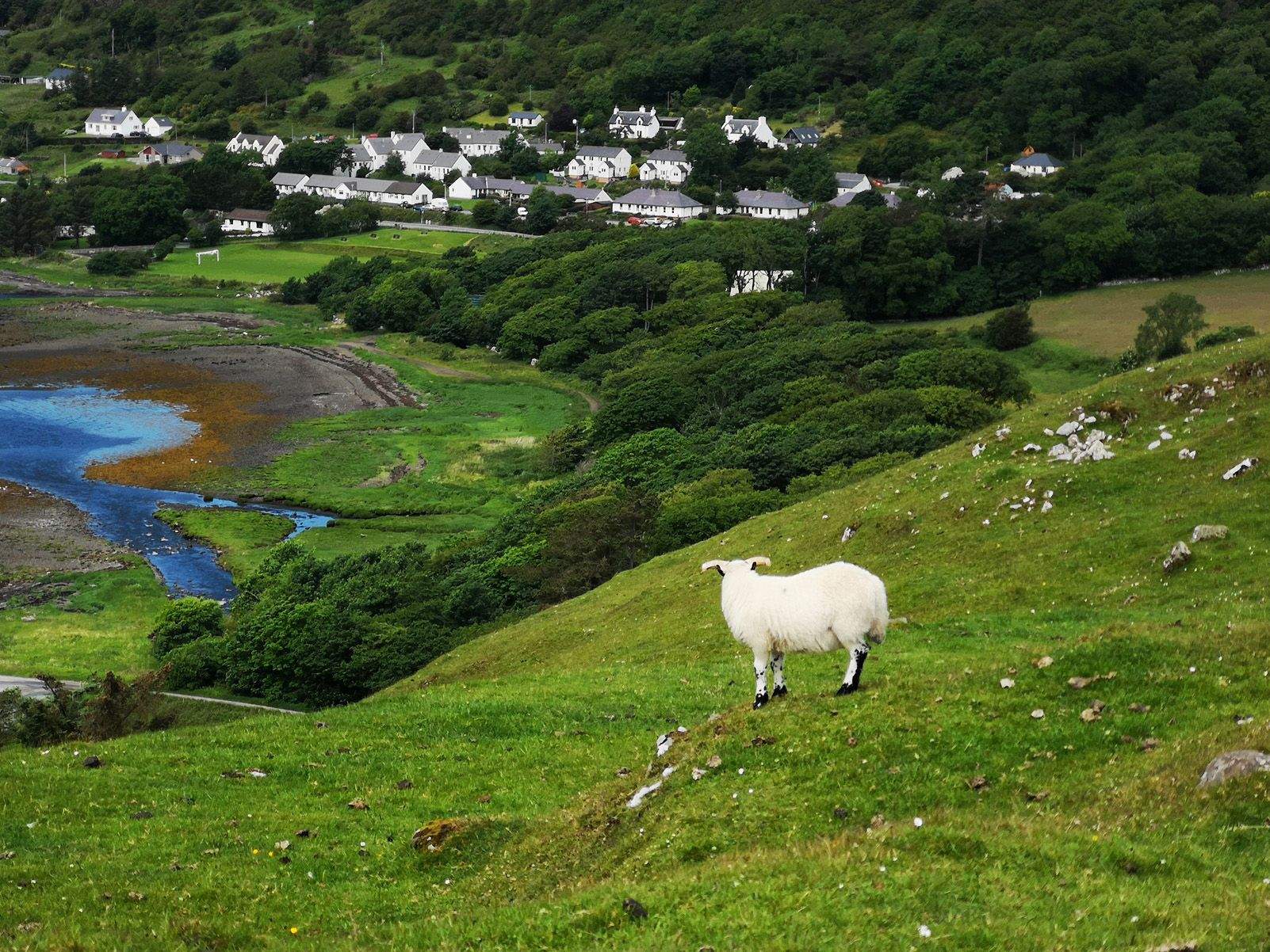 Cristina Joaquin Cusó   Pasturant   Isla de Skye Highland, Escocia