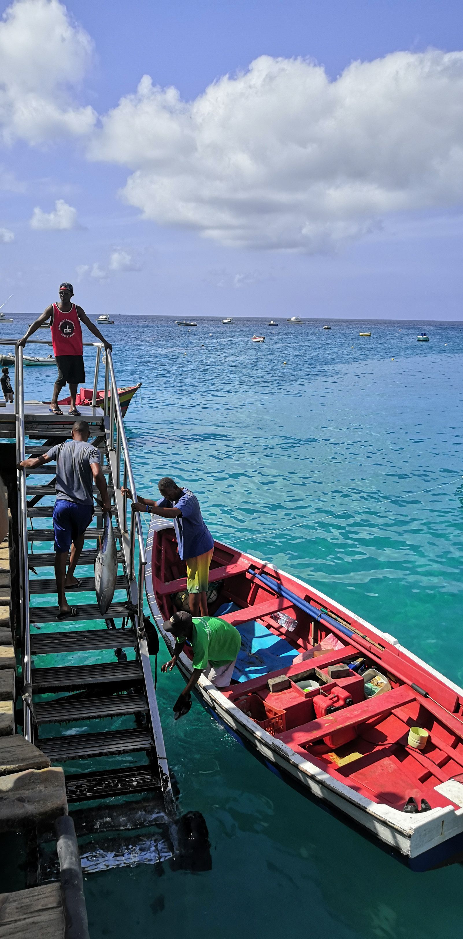 Cristina Vidal Magriña   Colors de pesca africana   Cabo Verde