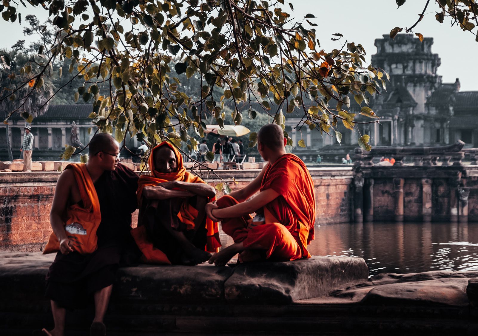David Heredia Ochoa   La paz sólo la encuentra quien está en paz consigo mismo.   Camboya   Templo de Angkor Wat