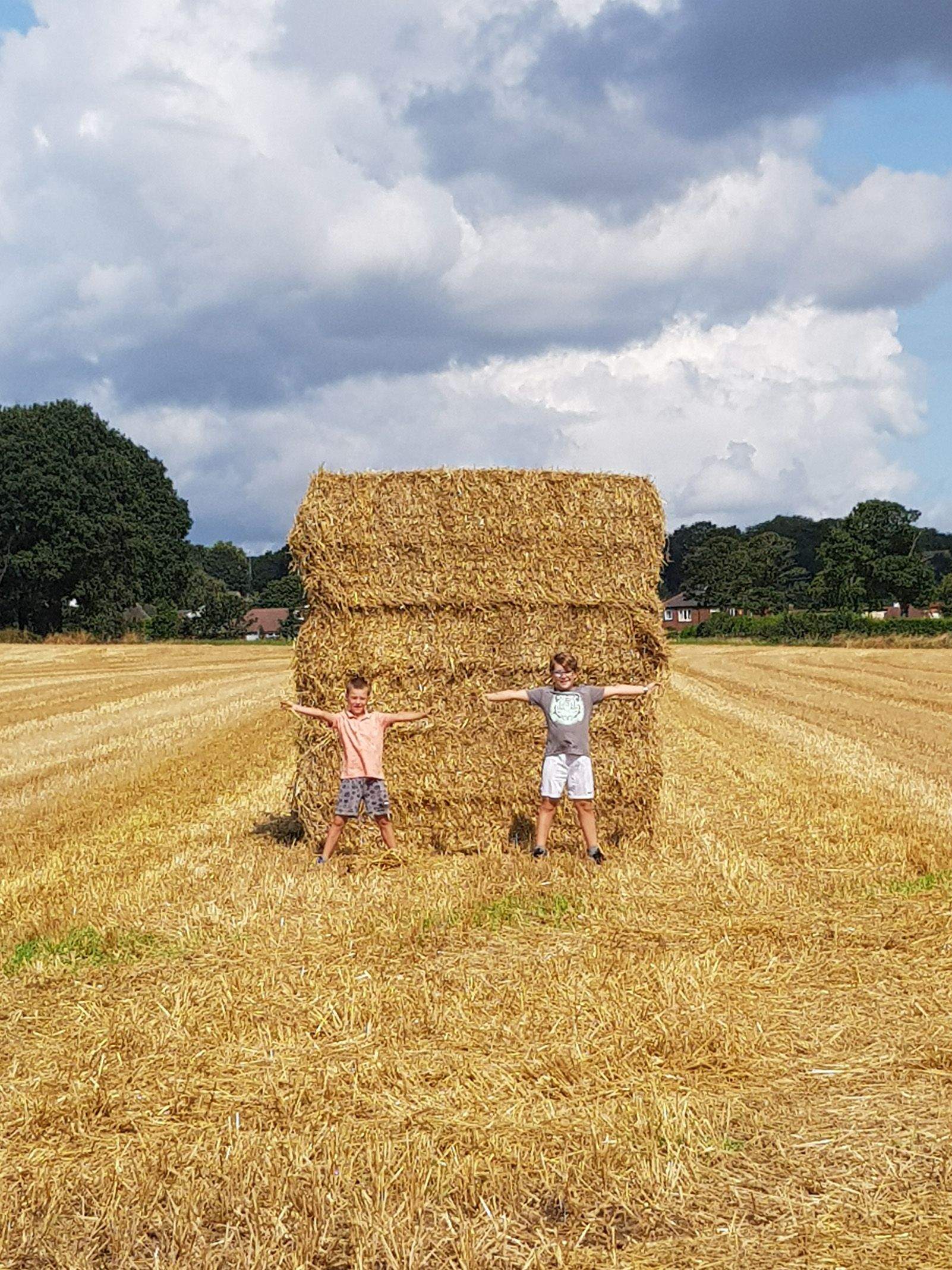 Debbie McNee   Hay tower   Inglaterra