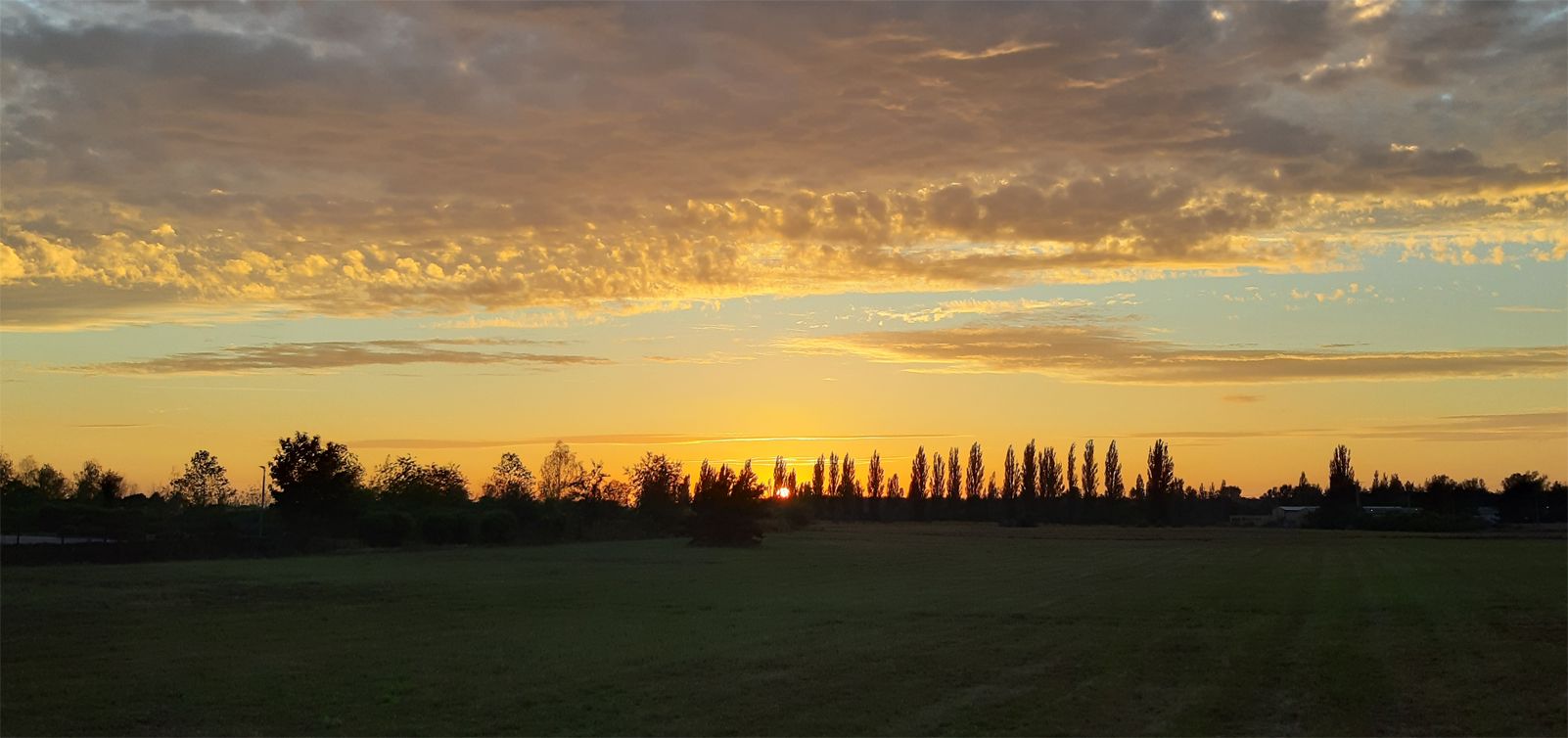 Diego Iruela Gutiérrez   C