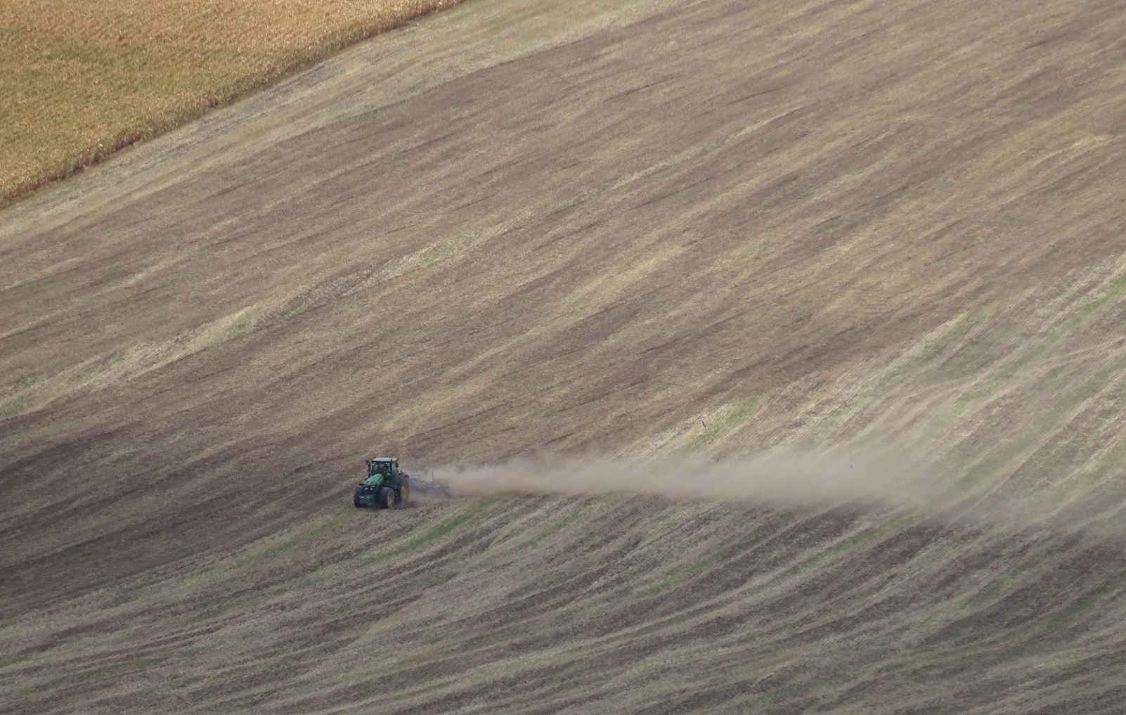 Diego Iruela Gutiérrez   Pintura campestre   Rip (República Txeca)